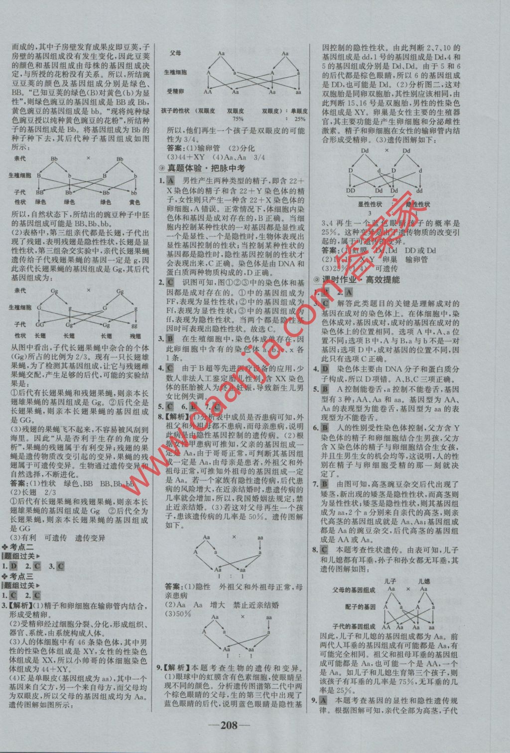 00DAE081A3851B1D6DE764314E0500CA.jpg